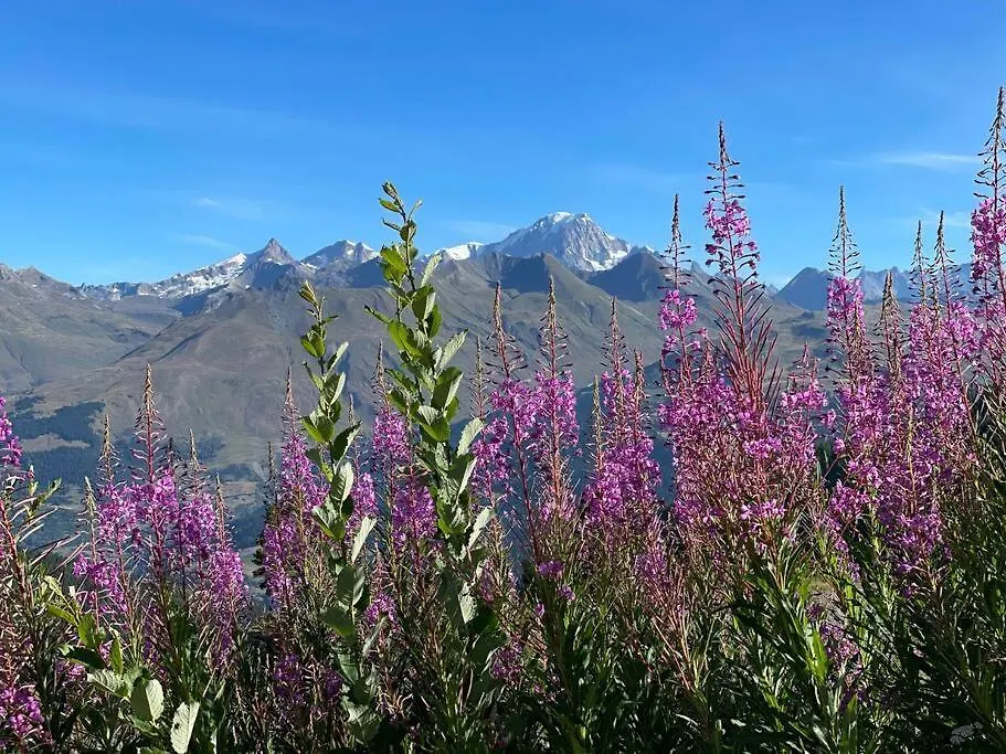 Camp De Base : Bourg-Saint-Maurice Apartment